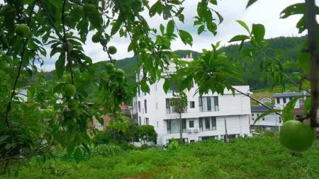 Qin Jing Huayuan B&B