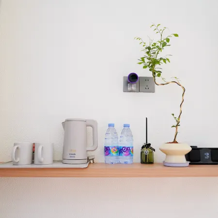 Shou County Gucheng Sanxi Homestay (Baoen Chansi)