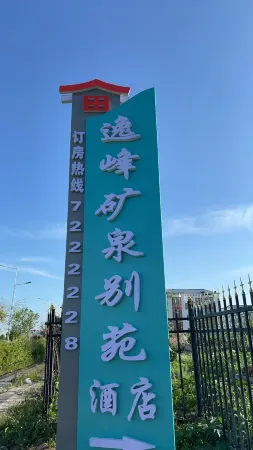 Yifeng Hotel (Wudalianchi Scenic Area) Отели в г. Удалянчи