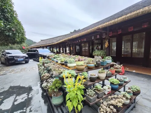 Langshan Bajiaozhai Xiao'er Farm House - Pet Friendly