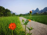 阳朔若水隐筑客栈 - 山景标准间