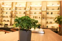 上潤飯店（鹽城吾悅廣場神州路店） - 3 星級