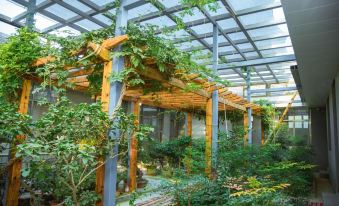 Qixili Wukesong Homestay