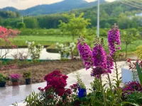 Li yangDonglishexia B&B Hotels in Liyang