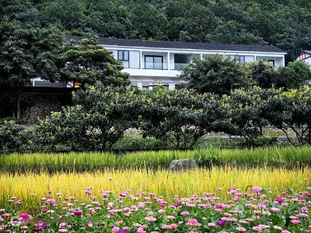 Xingyi QingqingYuye Homestay Отели рядом с достопримечательностью «Yixing Wanfo Temple»