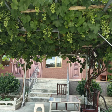 Diebu Dalong Sunshine Homestay