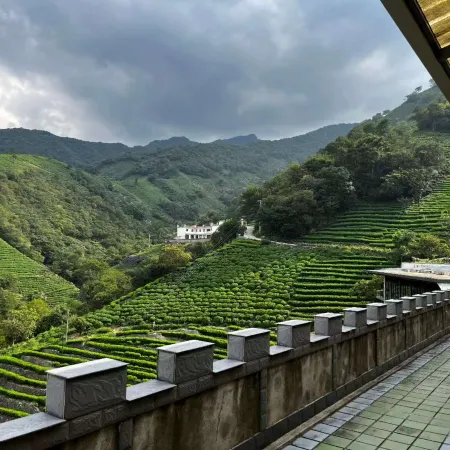 Dongzhou Tea Homestead