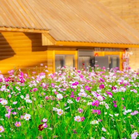 Shanye Yunju · Meadow Starry Garden Secret Vacation Boutique Stay