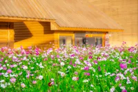 Shanye Yunju · Meadow Starry Garden Secret Vacation Boutique Stay - วิวภูเขา