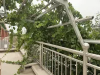 Changting Puyuan Homestay & Youth Hostel - เปิดใหม่