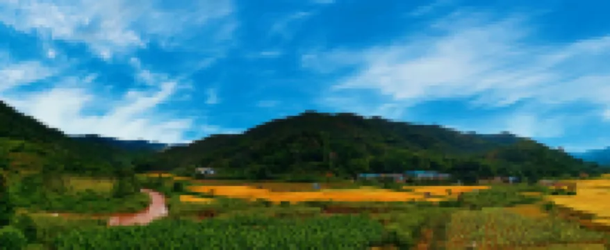 Mengla Xinzhu Tea Horse Inn