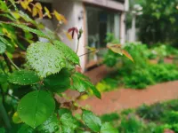 XIAN LANSHE HOMESTAY（Daminggong Wanda Hotel） - Villas