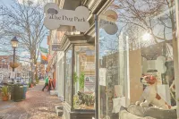 The King Street House by Kasa