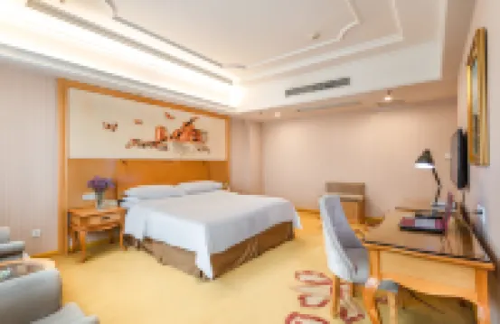 Vienna Hotel (Shaodong Jinlong Avenue)