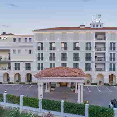 Hotel Budva Hotel Exterior