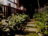 Hongya No. 9 Chinese Inn