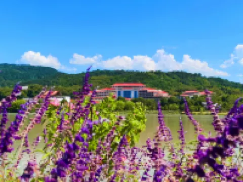 Ningxiang Yashu Villa
