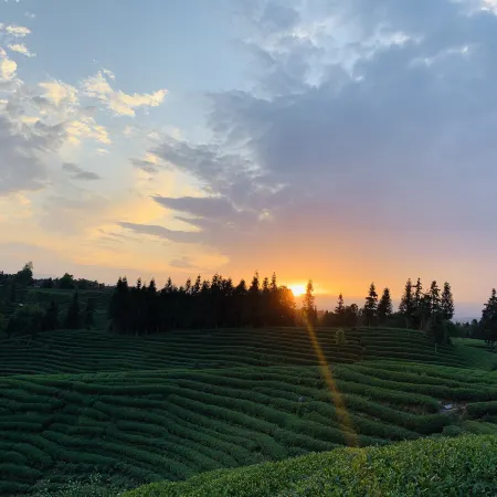 Floral Hotel·Chaoran Yunsu hotel (Ya'an Branch)