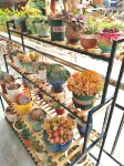 Lianyi Xiaoyuan Homestay Hotels in Yunxi District