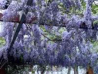 Jiangexiang Jiangyin Leisure Villa