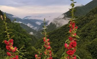 Shennongjia Township Yue Homestay