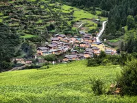 Zhagana Gangdis Homestay