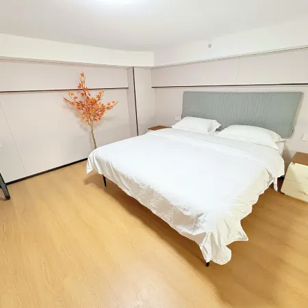 Boya Loft Lakeview Apartment (Jiacheng City Life Plaza)