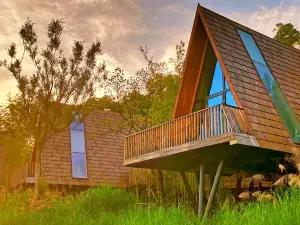 Tree Frog Resort Hotel