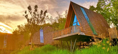 Tree Frog Resort Hotel