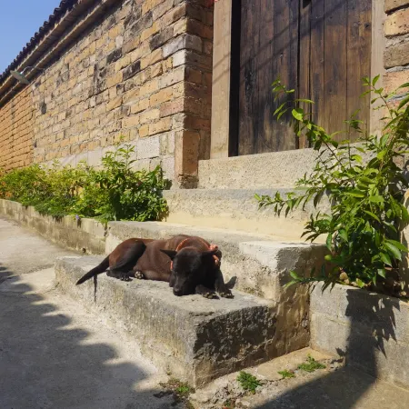 Wanshaner Caomuhui Homestay