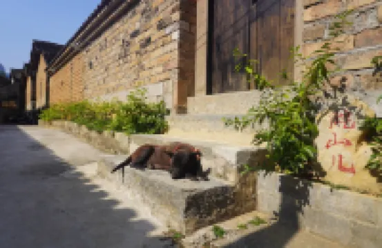 Wanshaner Caomuhui Homestay