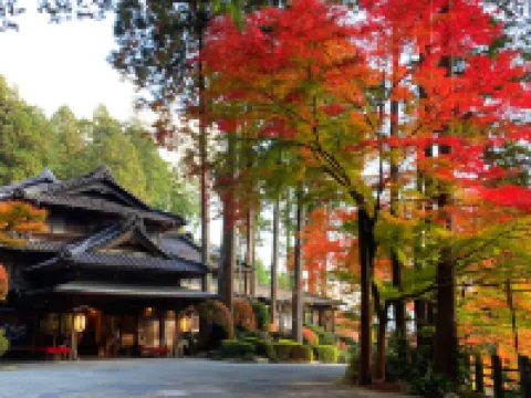 下呂温泉 湯之島館 下呂のホテル