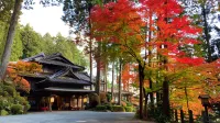Yunoshimakan Hotels in 