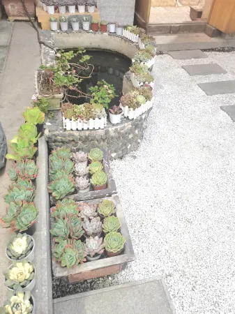 Fu   Yuan   Xuan（DaLI Ancient Town Store)