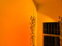 shengnongguyichuyoujing