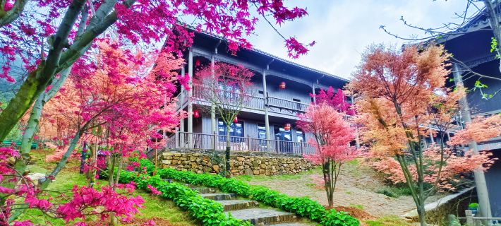 Wenxi Inn Hotels in Lanshan
