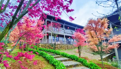Wenxi Inn