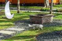 Linshe Jianqi Resort Chalet - شاطئ