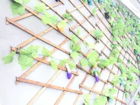 寧國皖南川藏線鳳板驛棧