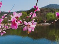 南京石塘田园e站竹卿舍田园民宿 - 其他