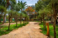 Sun City Rota Das Emoções