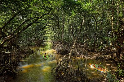 その他 ザ･ダタイ ランカウイの写真