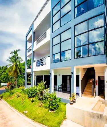 รูปภาพของไวท์ ฟลาเวอร์ ลันตา