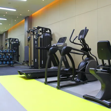 Wyndham Handan Congtai