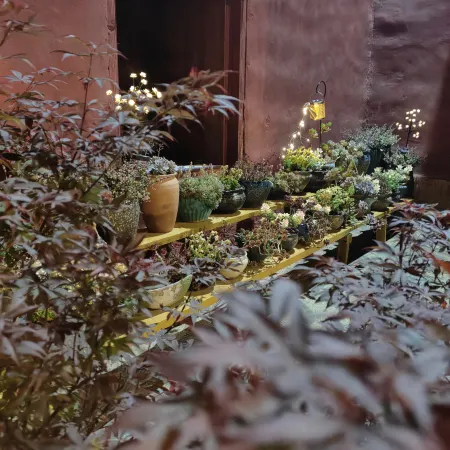 Hongzangfang Garden Homestay