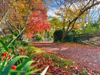 5Rooms Life-Style in City—“Golden Harvest Retreat” Hotels in Tamahere