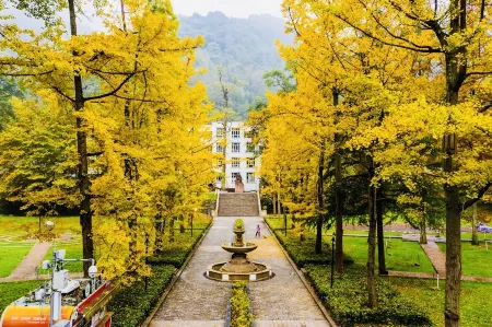 Provence Hostel Отели рядом с достопримечательностью «Bailu Town»