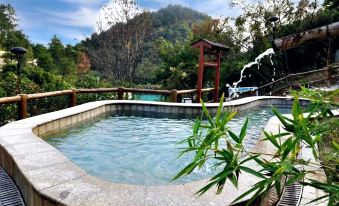 Palace International Hot Spring Hotel