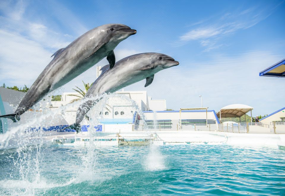 카메노이 호텔 가모가와