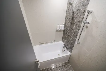Henn-na Hotel Seoul Myeongdong
